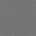 TAURUS GRANIT p�.pod�ogowa 20x20 65 S Antracit TAA26065 [Standartowa powierzchnia]