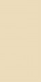 CONCEPT PLUS p�ytka �cienna 20x40 be�owa WAAMB008 [szkliwiona b�yszcz�ca]