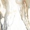 Calacatta Gold 60x60 Matowa [STARGRES]