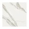 Statuario Sugar LAPPATO 60x60  [STARGRES]