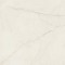 ARCADIA STONE SILVER POLISHED MATT RECT 59,8X59,8 G1 59,8 x 119,8 [OPOCZNO]