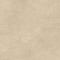 Authority Beige Gres Szkl. Rekt. Mat 120x120 [PARADY�]