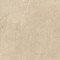 Authority Beige Gres Szkl. Rekt. Mat 59,8x59,8 [PARADY�]