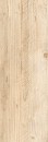 Factoria FCT 02 jasnobe�owy 20x60 natura [CERAMIKA GRES]