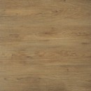 Ragaya Beige 2.0 59,7x59,7cm Matowa P�ytki tarasowe 2cm [CERRAD]