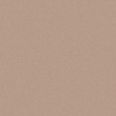 Monolight Mocca 60 x 60 G�adka Matowa [CERRAD]