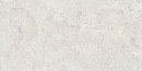 DUEVILLE LIGHT GREY MATT RECT 59,8x119,8 G1 Mikrostruktura (shape ink), Matowa NT1785-008-1 [CERSANIT]