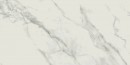 Calacatta Marble White Polished biay 59,8 x 119,8 OP934-009-1 [OPOCZNO]