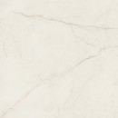 ARCADIA STONE SILVER POLISHED MATT RECT 59,8X59,8 G1 59,8 x 119,8 [OPOCZNO]