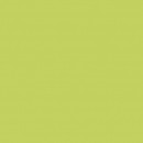 Gamma Seledynowa �ciana Mat. 19,8x19,8 Zielony [PARADY�]