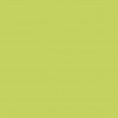 Gamma Seledynowa �ciana Po�ysk 19,8x19,8 Zielony [PARADY�]