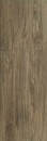 Wood Basic Brown Gres Szkl. 20x60 Br�zowy [Parady� MyWay]