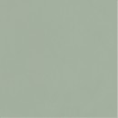 Neve Creative Green �ciana Po�ysk 9,8x9,8 [PARADY�]