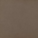 Intero Brown Gres Rekt. Mat. 59,8x59,8 [PARADY�]