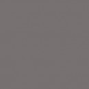 COLOR TWO GAA1K111 spiekana p�ytka pod�ogowa ciemnoszary 20x20 cm [RAKO]