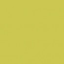 COLOR TWO GAA1K464 spiekana p�ytka pod�ogowa �o�tozielony 20x20 cm [RAKO]