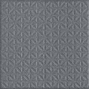 TAURUS Industrial TR225065 spiekana p�ytka pod�ogowa antracytowo szary 20x20 cm [RAKO]