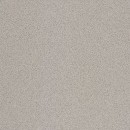 TAURUS Granit TAA25076 spiekana p�ytka pod�ogowa szary 20x20 cm [RAKO]