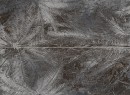 Sedona Palms Dekor �cienny 2-elementowy 898x658 Mat + Po�ysk [TUB�DZIN]