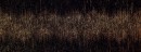 Stardust black Dekor �cienny 898x328 Po�ysk [TUB�DZIN]