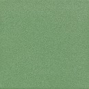 Mono zielone R Pytka podogowa 200x200 Mat [TUBDZIN]
