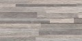 Woodmania Grey 30x60 Matowa, Struktura [STARGRES]