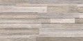 Woodmania Taupe 30x60 Matowa, Struktura [STARGRES]