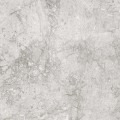 SAVONA SILVER 60x60