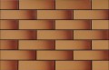 Miodowa 6,5x24,5cm B�yszcz�ca [CERRAD]