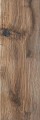 Alberon ALR 04 brązowy 20x60 natura [CERAMIKA GRES]
