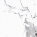 Calacatta white polished biały 59,7x59,7cm Polerowana Płytki ścienne, Płytki podłogowe [CERRAD]