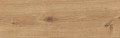 SANDWOOD BROWN 18,5x59,8 Brązy i grafity Strukturalna, Matowa W484-002-1 [CERSANIT]