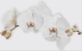MARISOL WHITE INSERTO FLOWER 25x40 Odcienie bieli Gładka, Błyszcząca WD956-008 [CERSANIT]