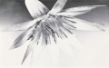 NEGRA WHITE INSERTO FLOWER 25x40 Odcienie bieli Gładka, Błyszcząca WD400-004 [CERSANIT]