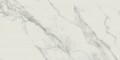 Calacatta Marble White Polished biały 59,8 x 119,8 OP934-009-1 [OPOCZNO]
