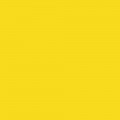 Gamma Żółta Ściana Mat. 19,8x19,8 Gamma / Gammo 19,8 x 19,8 cm Żółty [PARADYŻ]
