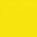 Gamma Żółta Ściana Połysk 19,8x19,8 Gamma / Gammo 19,8 x 19,8 cm Żółty [PARADYŻ]