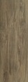 Wood Basic Brown Gres Szkl. 20x60 Br�zowy [Parady� MyWay]