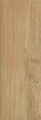 Wood Basic Naturale Gres Szkl. 20x60 Br�zowy [Parady� MyWay]