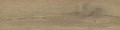 Pinea Beige 15,5x62 Matowa [STARGRES]