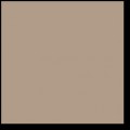 COLOR ONE WAA1N301 p�ytka �cienna ciemnobe�owy 20x20 cm [RAKO]