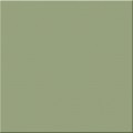 P�ytka �cienna Pastel Oliwkowy MAT 20x20 Gat.2 [TUB�DZIN]