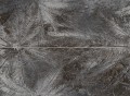 Sedona Palms Dekor ścienny 2-elementowy 898x658 Mat + Połysk [TUBĄDZIN]