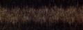 Stardust black Dekor �cienny 898x328 Po�ysk [TUB�DZIN]