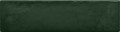 Masovia verde C gloss STR P�ytka �cienna 298x78 - [TUB�DZIN]