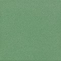 Mono zielone R Płytka podłogowa 200 x 200 mm / 10 mm Mat 20x20 [TUBĄDZIN]