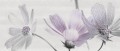 Dekor Scala grey Flower 25x60